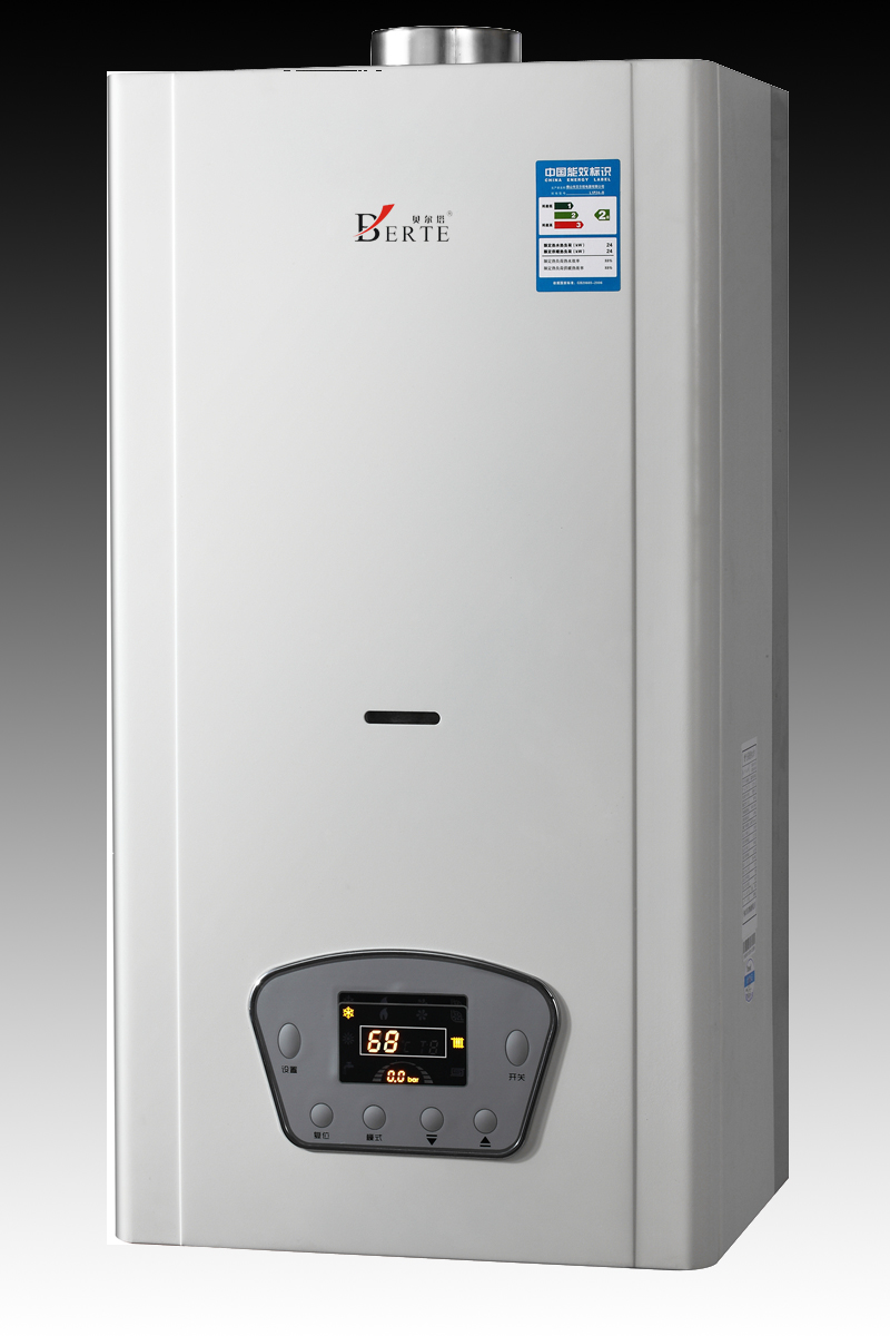 1555894790371777.jpg 貝爾塔10.jpg